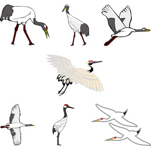 綺麗な鶴 イラスト フリー 最高の動物画像