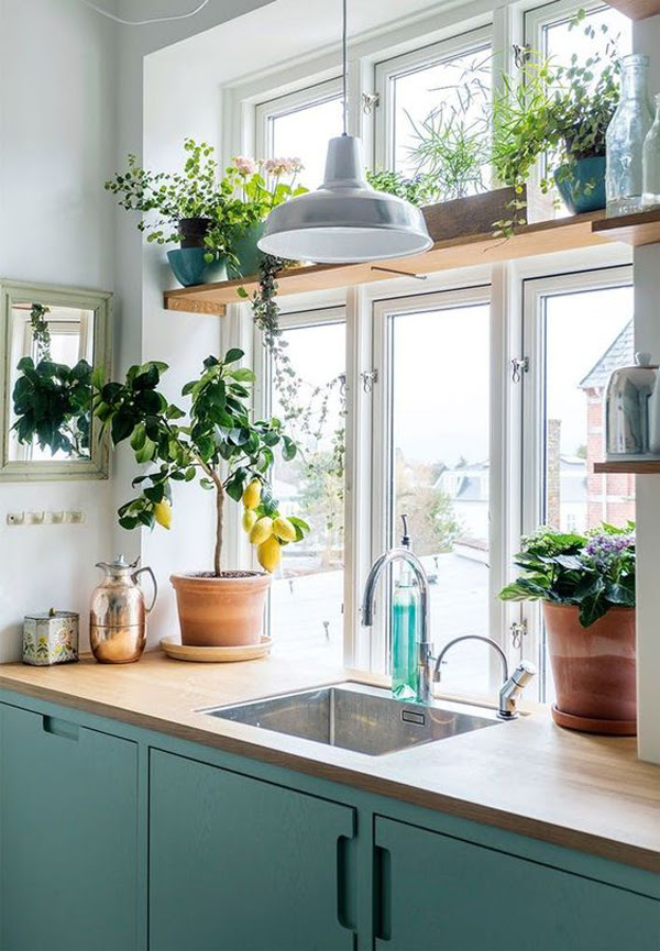 Touch device users, explore by touch or with swipe gestures. 20 Modern Plant Shelf Ideas For Small Space Homemydesign
