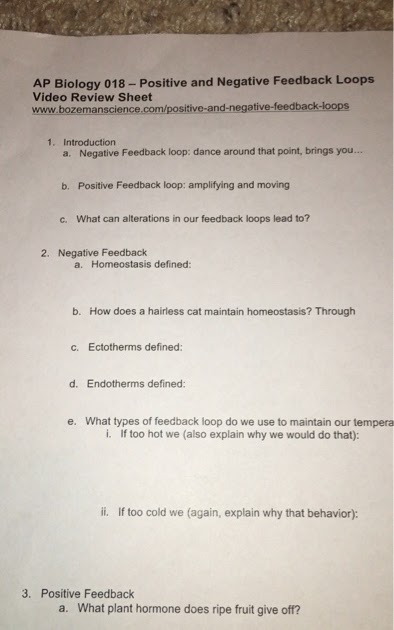 bozeman science worksheet answers https paul andersen squarespace com