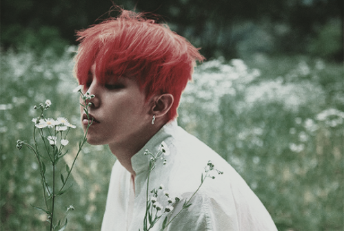 Aesthetic Wallpaper G Dragon Desktop Wallpaper Hd Largest Wallpaper Portal