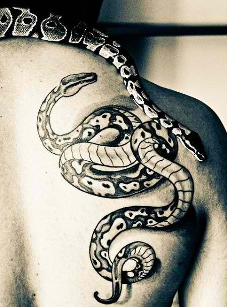 Find our extensive guide with cobra, python, viper and traditional serpent tattoo snake tattoo guide for 2021 with all symbols & meanings in one place. Snake Tattoo A Must Have Tattoo