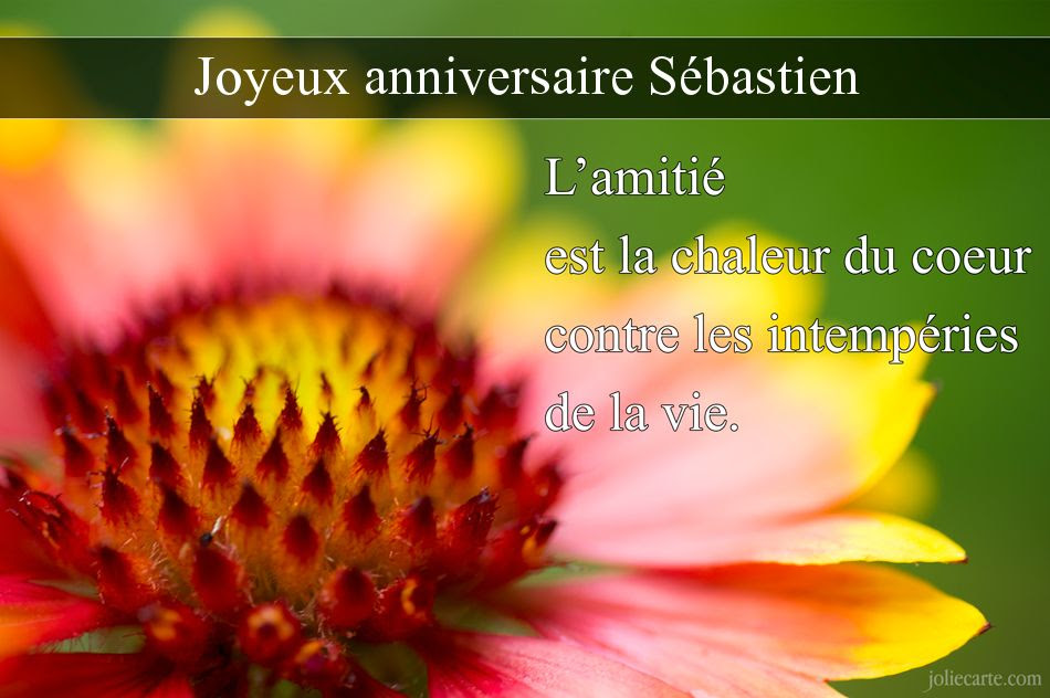 Bon Anniversaire Sandra Brittaney