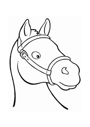Jetzt die pferde ausmalbilder gratis downloaden und ausdrucken! Ausmalbilder Pony Kopf Pferde Malvorlagen