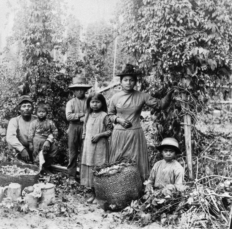 An Indigenous family on a Puget Sound hop farm circa 1891. (University of Washington Libraries, Special Collections, NA 4189)