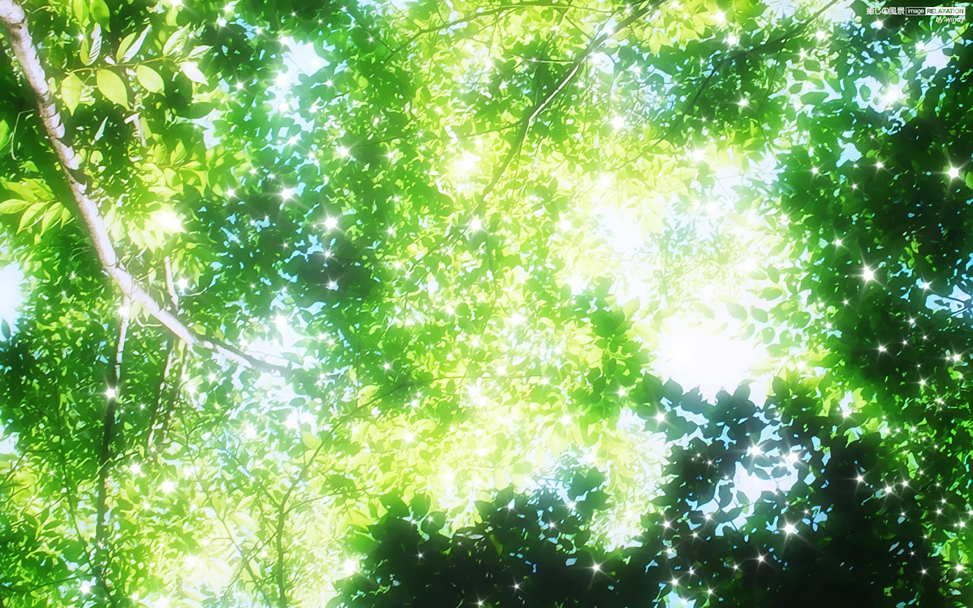 35 癒さ れる 壁紙 Jpbestwallpaper