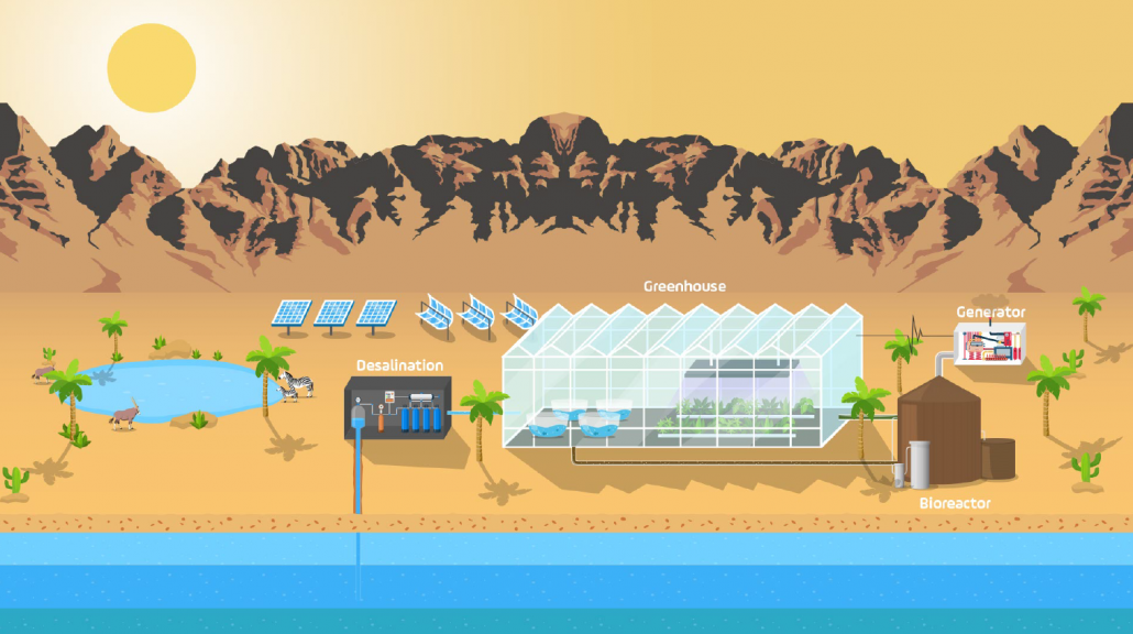 aquaponics easy vimeo - aquaponic
