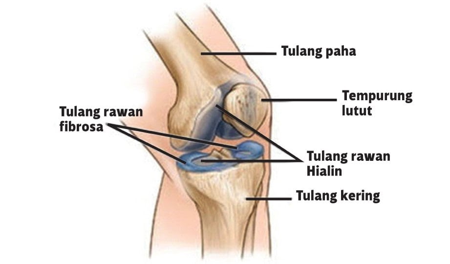 Ubat Sakit Pinggang Kanan - Rawatan c