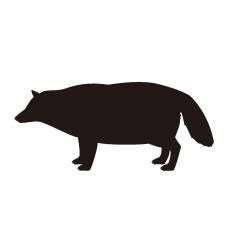 これまでで最高のたぬき イラスト フリー 無料イラスト集