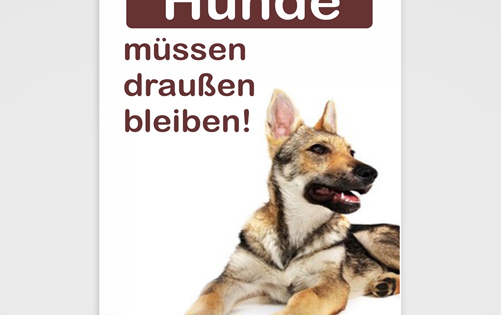 Hunde Verboten Schild Ausdrucken - Hunde Verboten Schild Ausdrucken Verbotsschild Angeln ...