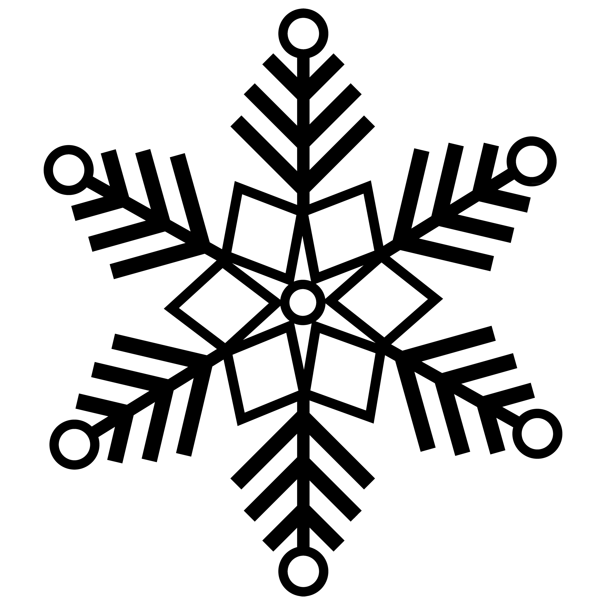 新鮮な雪の結晶 イラスト 白黒 動物ゾーン