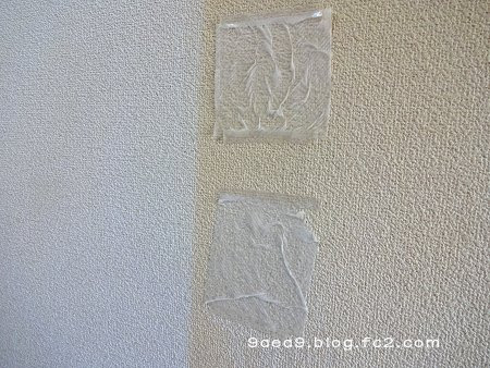 驚くばかりキッチンハイター 壁紙 最高の花の画像