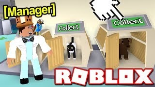 Roblox Karate Chop Simulator Hack | Free 400 Robux Code - 