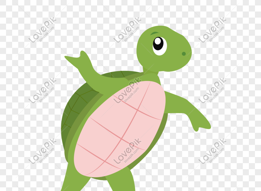24 Gambar Kartun Kura Kura Balap Gambar Kartun HD