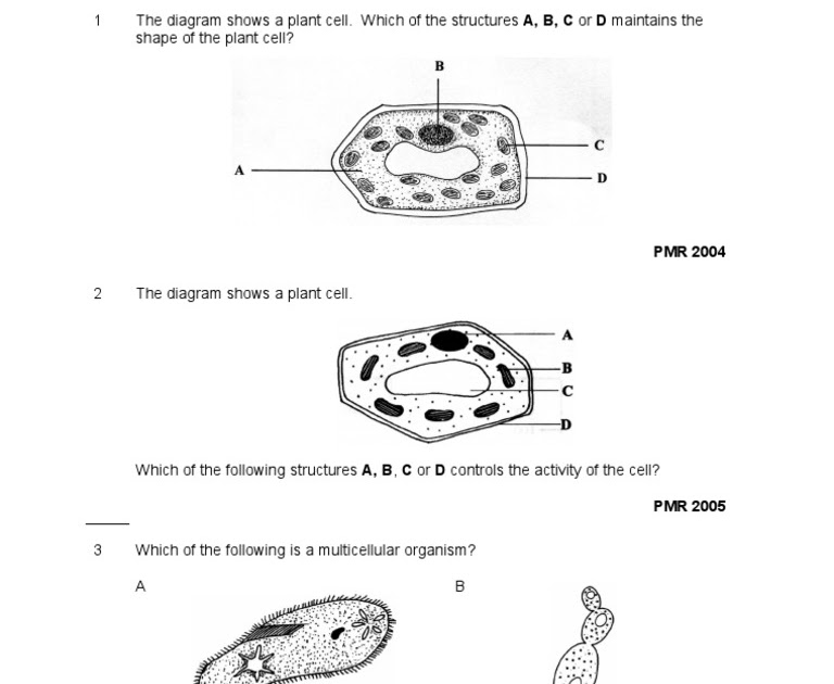 Contoh Soalan Esei Bab 4 Tingkatan 4 - Contoh Kar