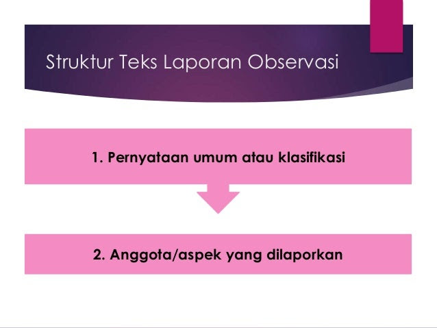 Teks Laporan Hasil Observasi Ciri Ciri - Contoh 84