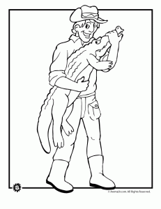 Check out our nice collection of the reptiles coloring pictures worksheets.new reptiles coloring pages added all the time. Alligator And Crocodile Coloring Pages Animal Jr