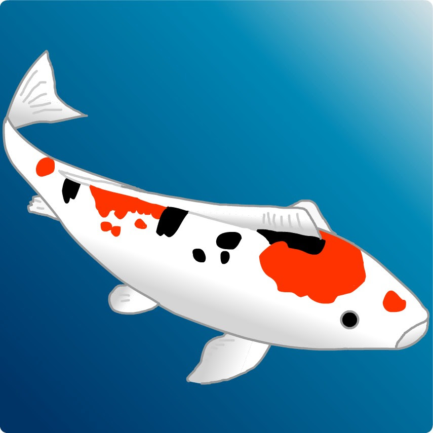 ベスト50 かわいい 鯉 イラスト 簡単 すべての動物画像