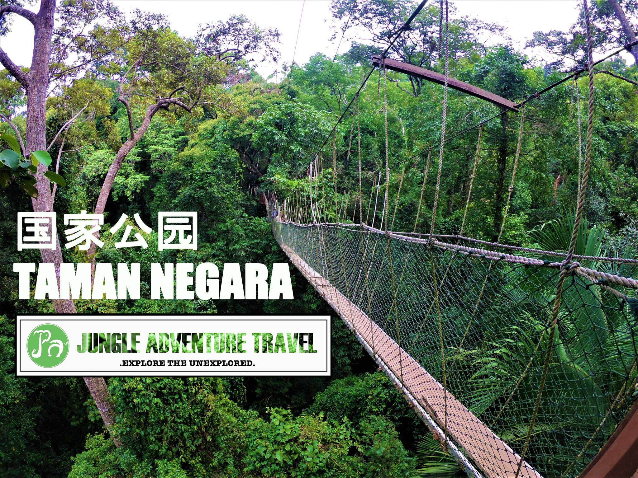 Taman negara is a national park in peninsular malaysia. Jungle Adventure Travel