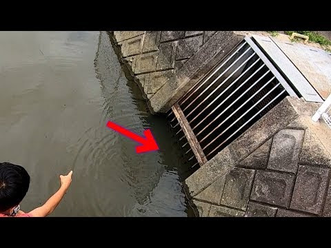 上用水路釣り 仕掛け すべての魚の画像