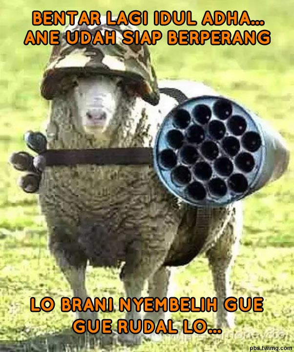 Paling Populer 13 Gambar Lucu  Hari Qurban Richa Gambar