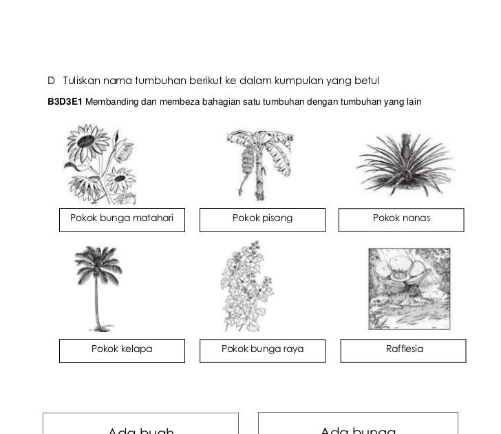 Soalan Upsr 2019 Sjkt - Contoh QQ