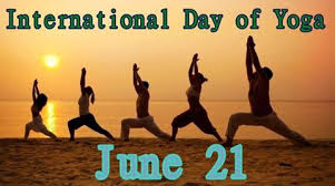 Image result for international yoga day