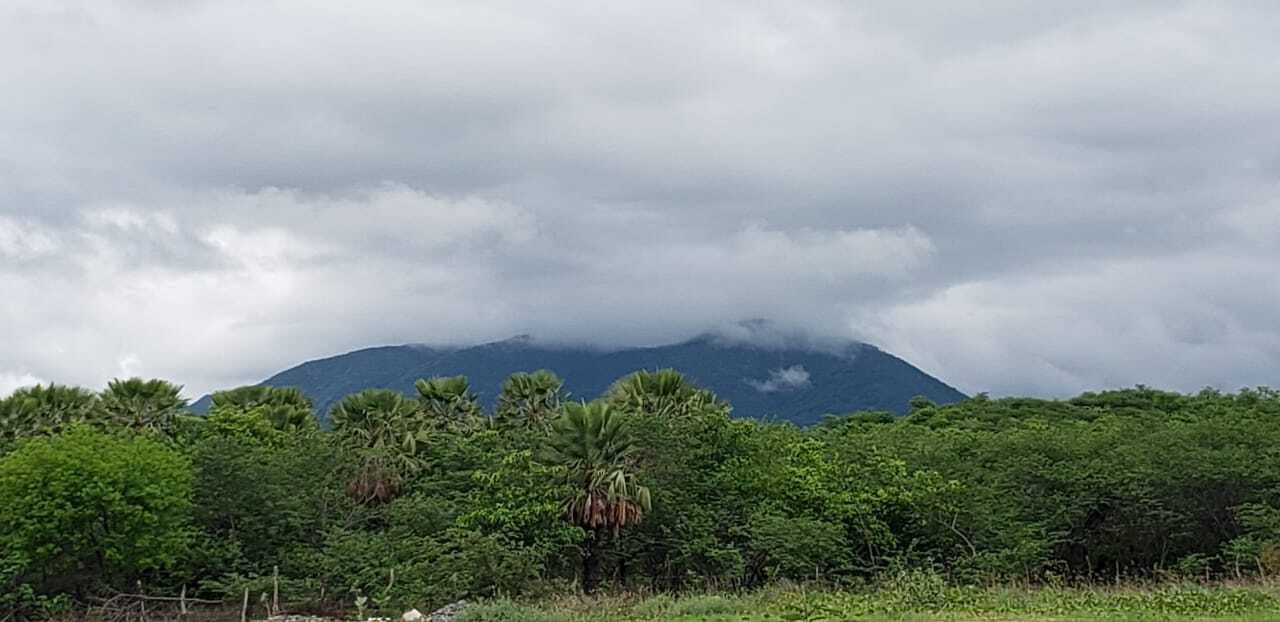 Entre quinta e sexta, choveu em mais de 100 municípios do Cerá (FOTO: Liduina Gomes)