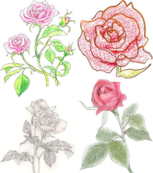 綺麗なバラ 花束 イラスト 手書き 動物ゾーン
