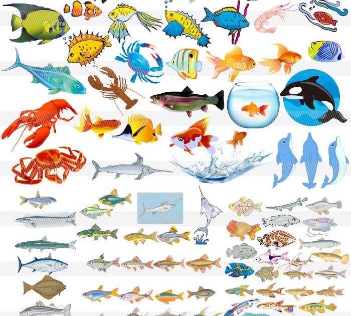 人気のダウンロード 魚 イラスト かっこいい 興味深い画像の多様性