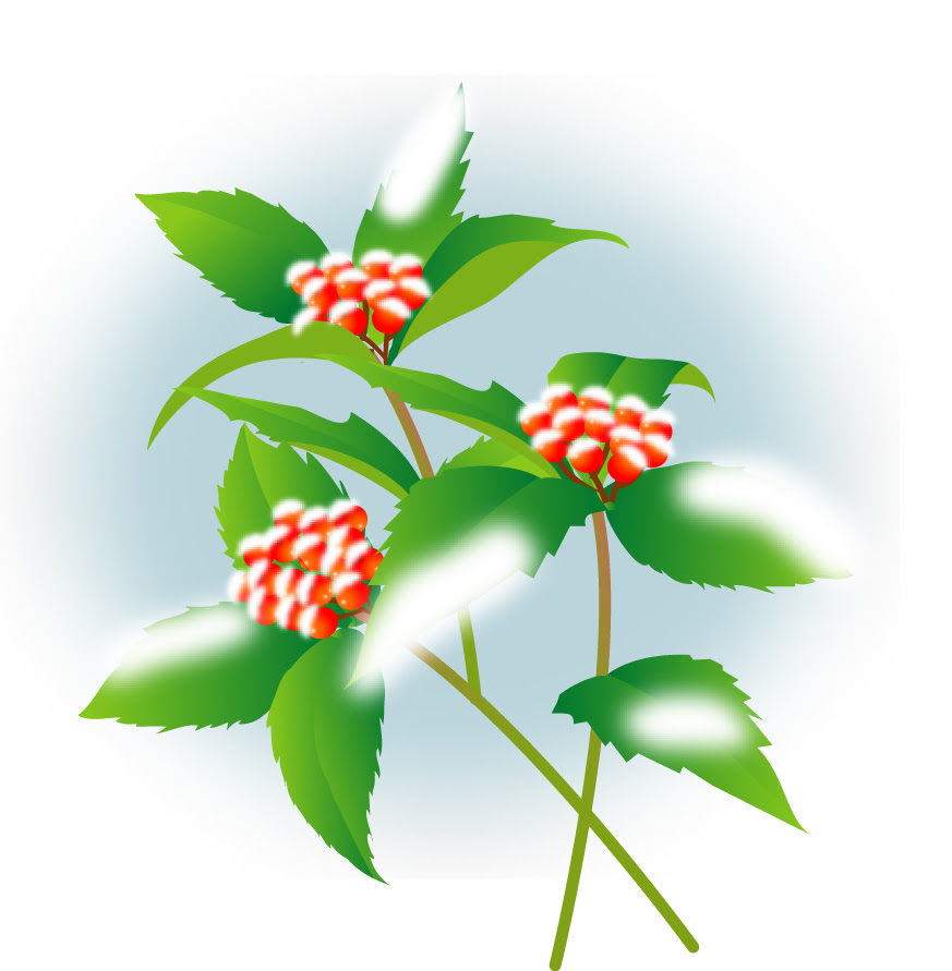 100以上 1月 花 イラスト 無料 ここで最高の画像コレクション