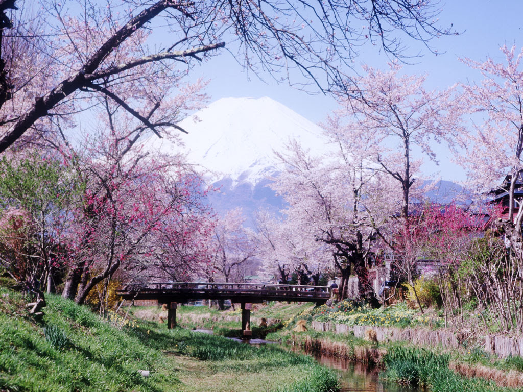 デスクトップ 壁紙 春 画像 フリー Udin