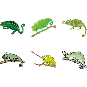 美しい花の画像 Hd限定カメレオン イラスト かわいい