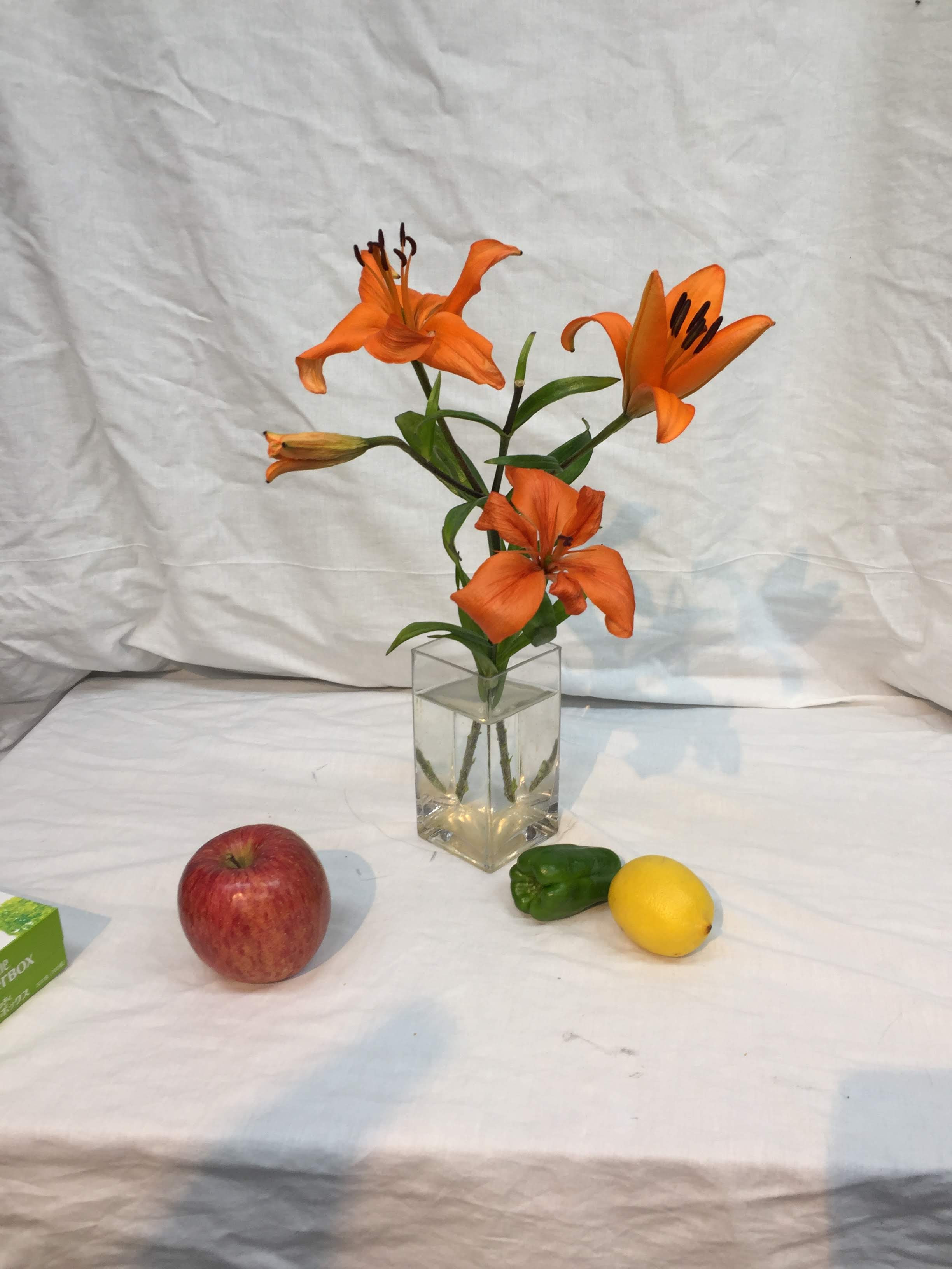 これまでで最高の花 デッサン モチーフ 最高の花の画像