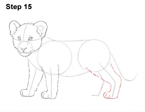 How To Draw A Lion Cub Cartoon - malayalvan
