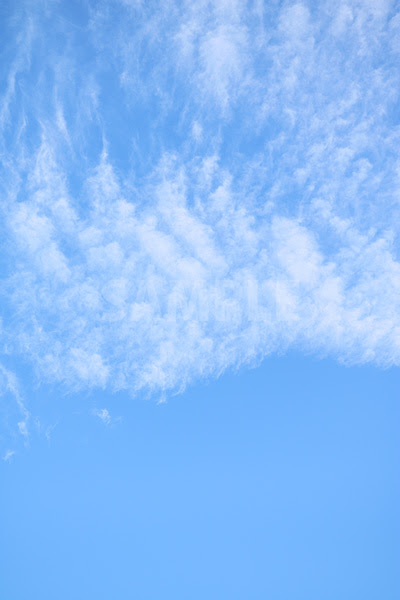 新鮮な青空 空 イラスト フリー 動物ゾーン