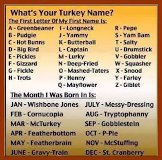 We did not find results for: Whats Your Turkey Name Pictures Photos And Images For Facebook Tumblr Pinterest And Twitter