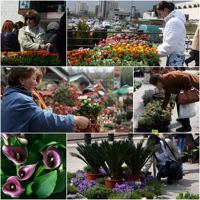 Tiene 240 tiendas de lo más variado: Flori De Florii Incepand De Azi La Iulius Mall Opinia Timisoarei