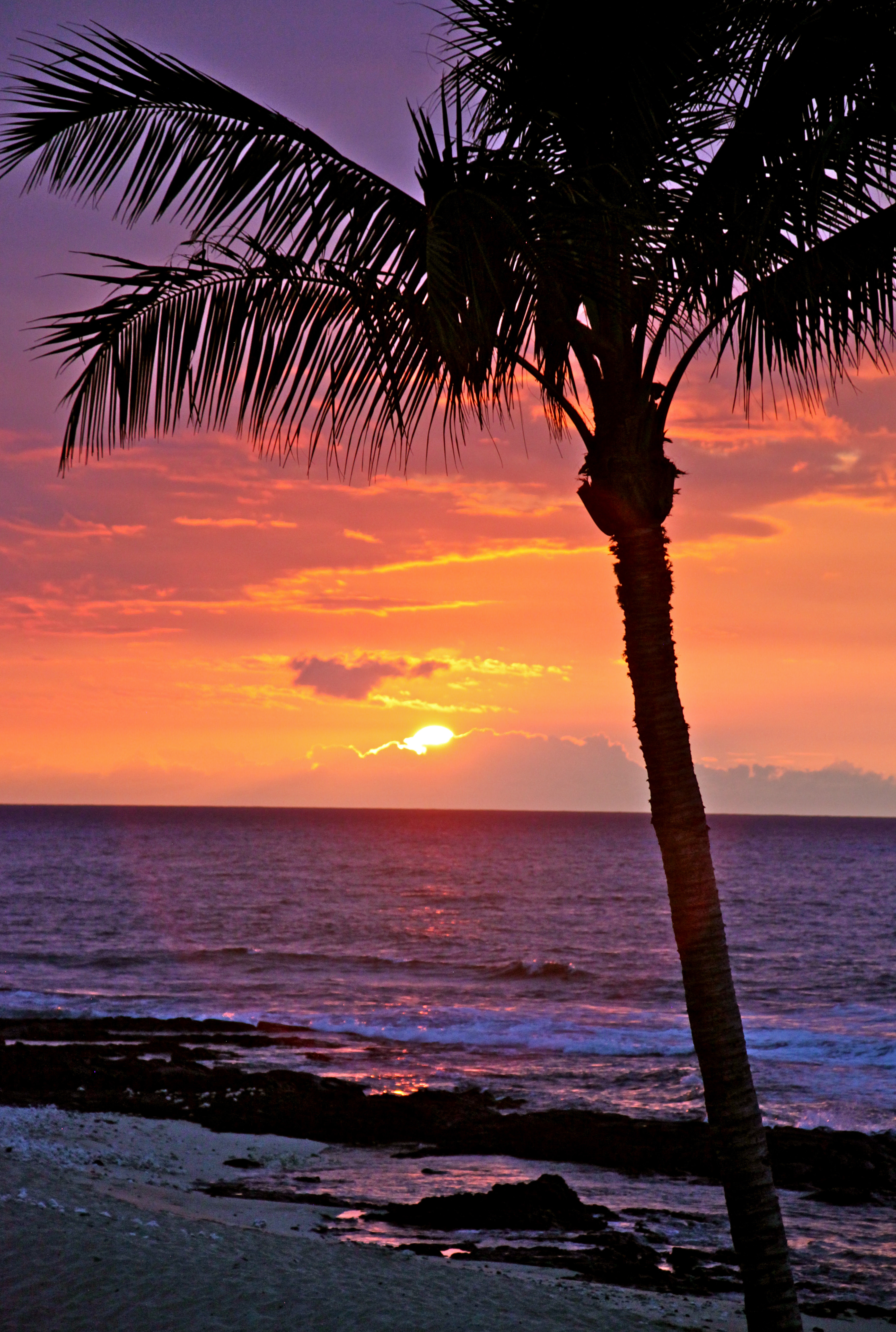 トップ100 ハワイ 海 画像 フリー 無料イラスト集