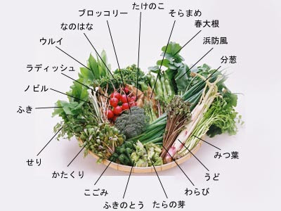 50 春 野菜 イラスト 興味深い画像の多様性