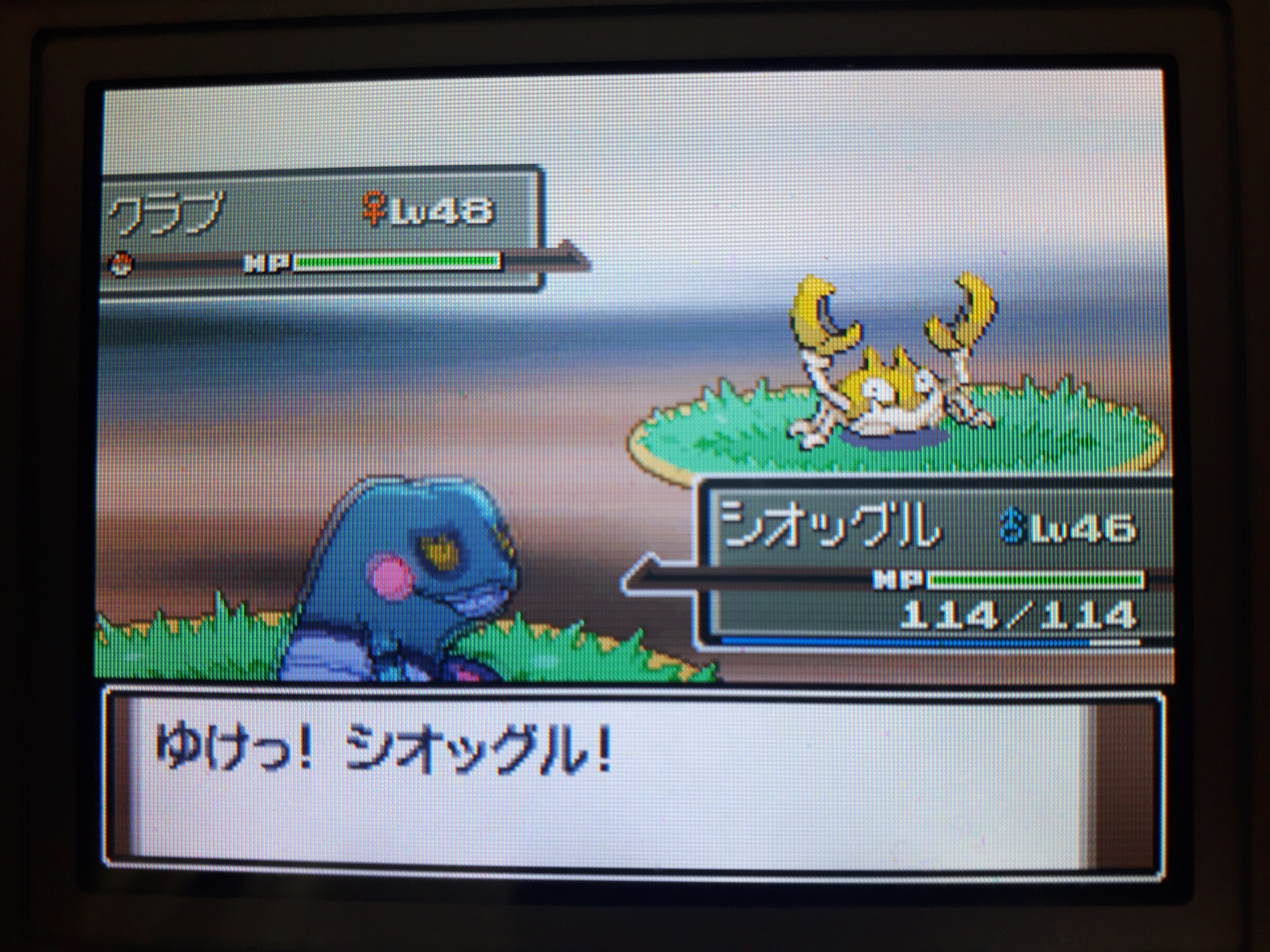 心に強く訴える ポケモン プラチナ 改造 画像ブログ