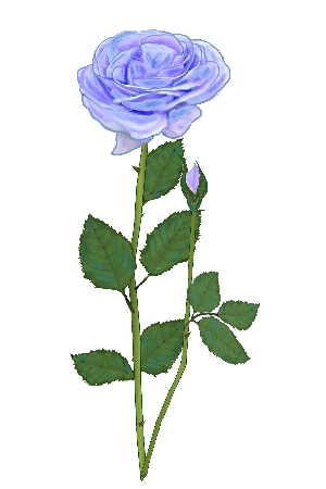 Japan Image 薔薇 イラスト 青