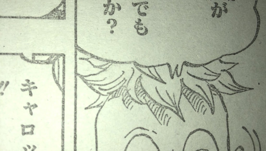 ベスト ワンピース ジョズ 腕 1379 ワンピース ジョズ 腕 Image4u3sgt