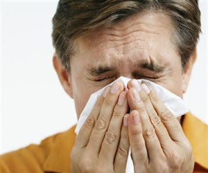 Common cause of sneezing and sniffling likely to shift northward under climate change