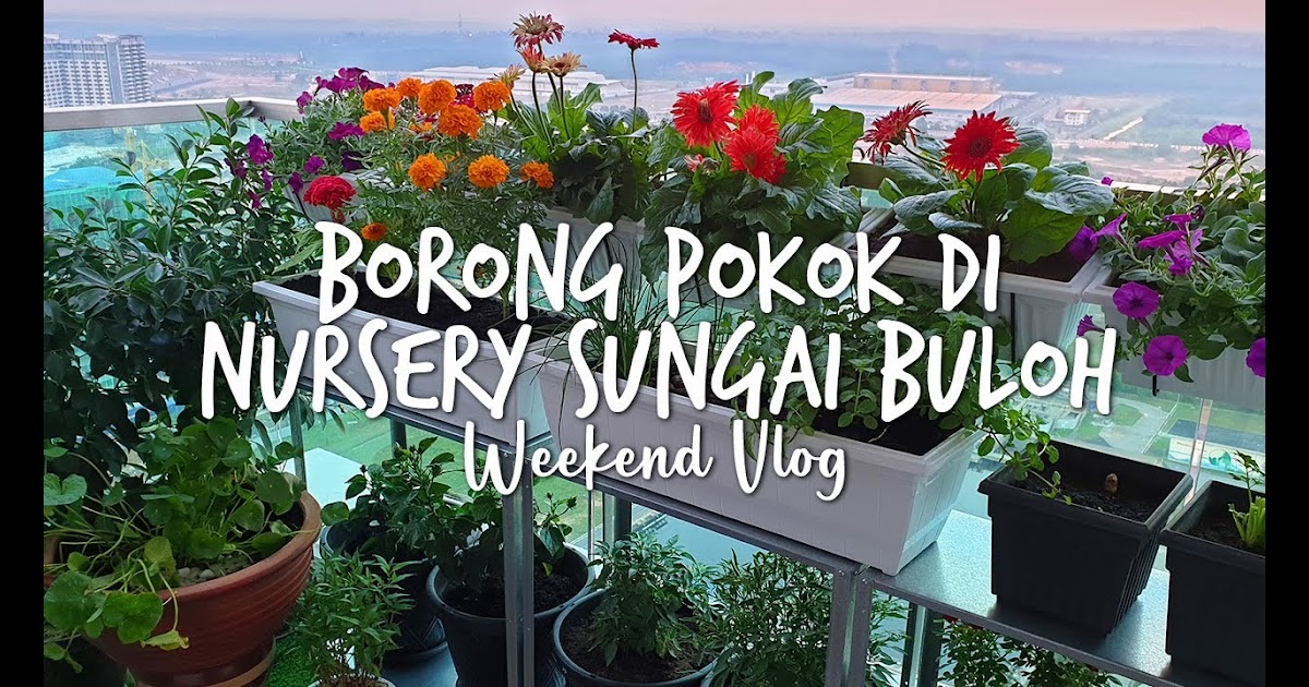 kedai bunga sungai buloh