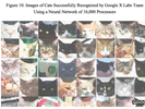 This Is The Cat Experiment That Should Make You Feel Better About The Future Of Humanity