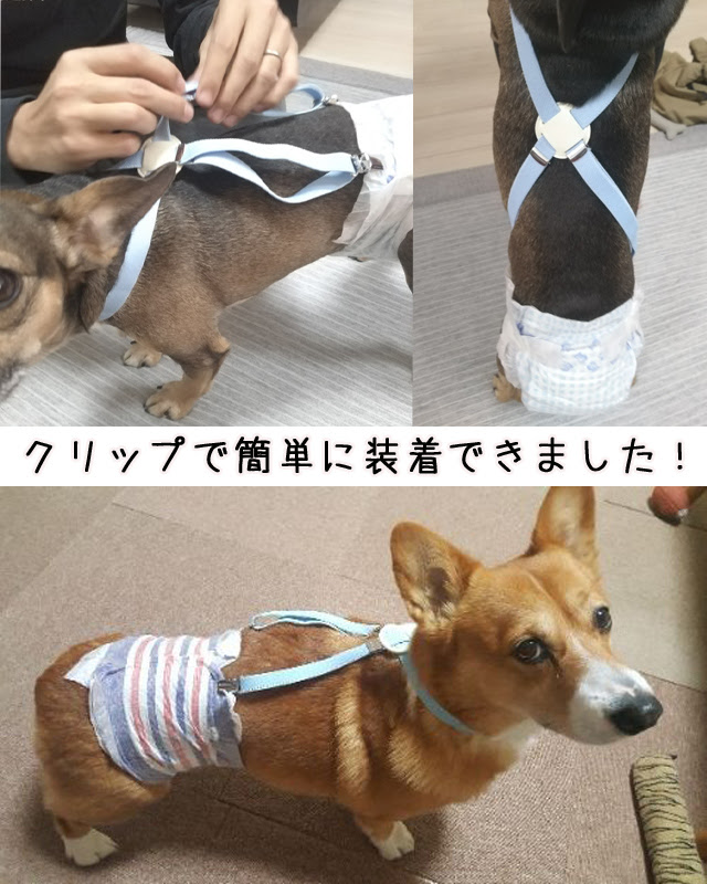 オリジナル 犬 オムツ 代用 すべての動物の絵