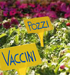 Inserire titolo foto