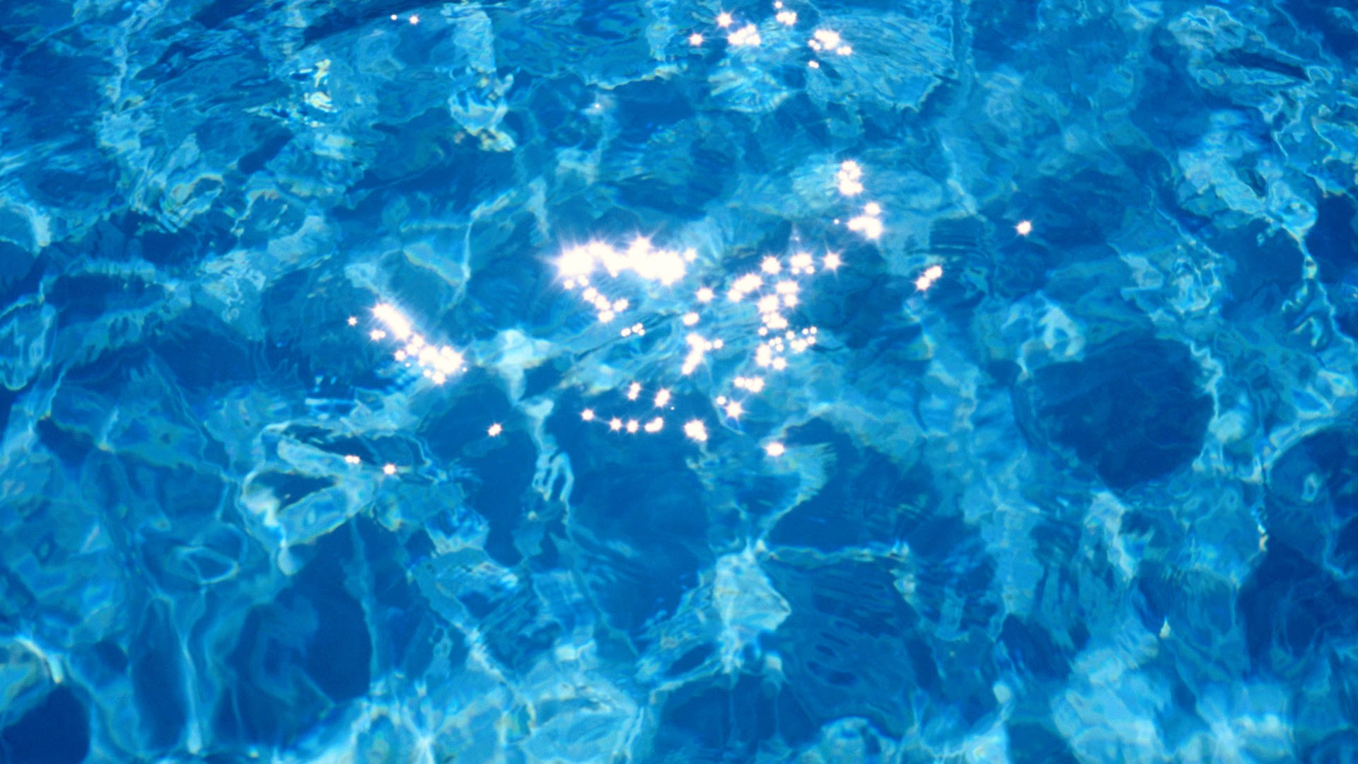 綺麗な水 壁紙 最高の花の画像