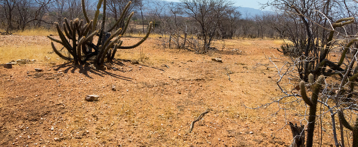 desertificao_jaguaribe_novembro_2018_foto_funceme_flickr.jpg