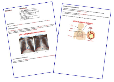 Idées des élèves et questions qu'ils se posent sur la respiration La Respiration Sequence Complete Chez Monsieur Paul